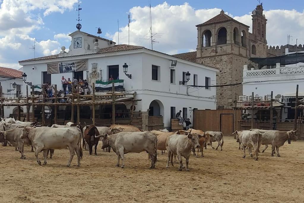 El Zarzal De Segura Villa Segura de Leon ภายนอก รูปภาพ